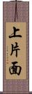 上片面 Scroll