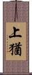 上猶 Scroll