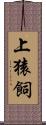 上猿飼 Scroll