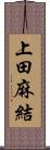 上田麻結 Scroll