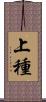 上種 Scroll
