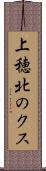 上穂北のクス Scroll