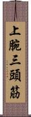 上腕三頭筋 Scroll