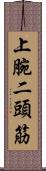 上腕二頭筋 Scroll