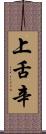 上舌辛 Scroll