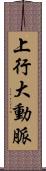 上行大動脈 Scroll