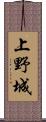 上野城 Scroll
