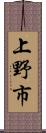 上野市 Scroll