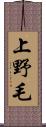 上野毛 Scroll