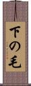 下の毛 Scroll