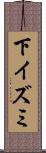 下イズミ Scroll