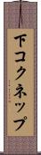 下コクネップ Scroll