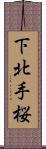 下北手桜 Scroll