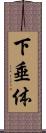 下垂体 Scroll