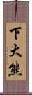 下大熊 Scroll