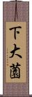 下大薗 Scroll