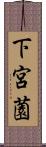 下宮薗 Scroll