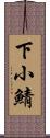下小鯖 Scroll