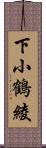 下小鶴綾 Scroll