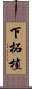 下柘植 Scroll