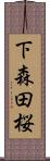 下森田桜 Scroll