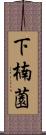 下楠薗 Scroll