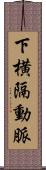 下横隔動脈 Scroll