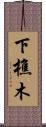 下樵木 Scroll