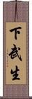 下武生 Scroll