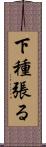 下種張る Scroll