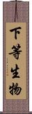 下等生物 Scroll