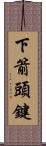 下箭頭鍵 Scroll