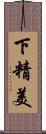 下精美 Scroll