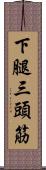 下腿三頭筋 Scroll