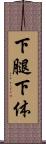 下腿 Scroll
