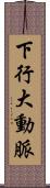 下行大動脈 Scroll