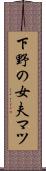 下野の女夫マツ Scroll