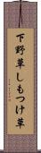 下野草 Scroll