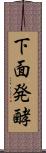 下面発酵 Scroll