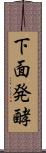 下面発酵 Scroll