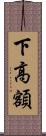 下高額 Scroll