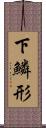 下鱗形 Scroll