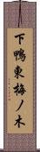 下鴨東梅ノ木 Scroll