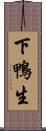 下鴨生 Scroll