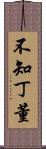 不知丁董 Scroll