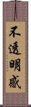 不透明感 Scroll