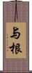 与根 Scroll