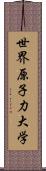 世界原子力大学 Scroll