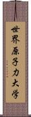 世界原子力大学 Scroll