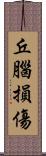 丘腦損傷 Scroll